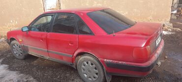 Audi: Audi 100: 1993 г., 2.3 л, Механика, Газ, Седан