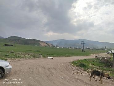 ала то: 9 соток, Для бизнеса, Красная книга, Договор купли-продажи — 4