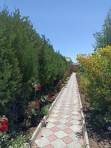 Аренда коттеджей и домов на Иссык-Куле: Коттедж, Париж, Чок-Тал, 8 мест — 7