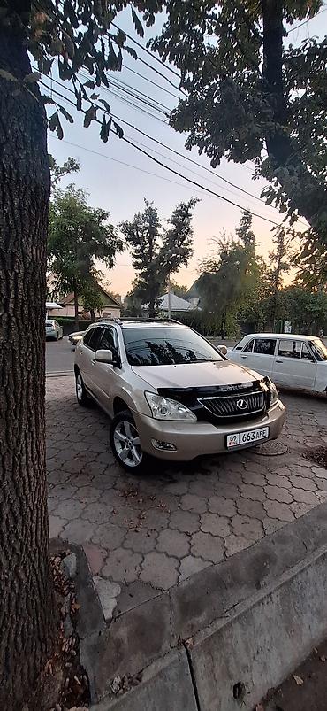 Lexus RX: 2004 г., 3.3 л, Автомат, Бензин, Кроссовер