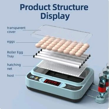 beli dzemper na raskopcavanje: Inkubator automatski za 64 jaja novi model pametnog automatskog