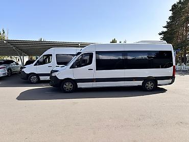 rex sprinter: Пункт назначения: Все направления — 7