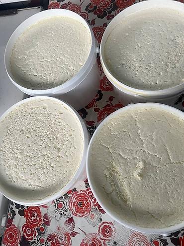 Молочные продукты и яйца: Домашнее молоко, сметана, сары май, кымыз (Бишкек) Описание — 9