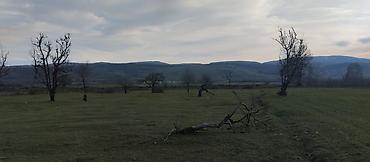 Torpaq sahələrinin satışı: Kənd təsərrüfatı — 11