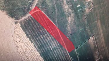 Torpaq sahələrinin satışı: 54 sot, Kənd təsərrüfatı, Maklerlər narahat etməsin, Kupça (Çıxarış) — 2