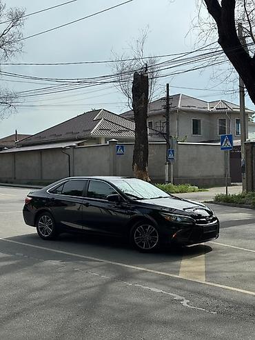 машиа: Toyota Camry: 2016 г., 2.5 л, Автомат, Бензин, Седан — 2