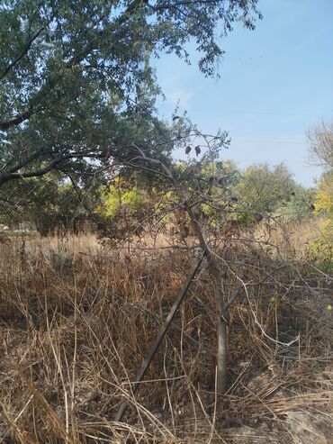 Həyət evləri və villaların satışı: 4 otaqlı, 140 kv. m, Kredit yoxdur, Yeni təmirli — 23