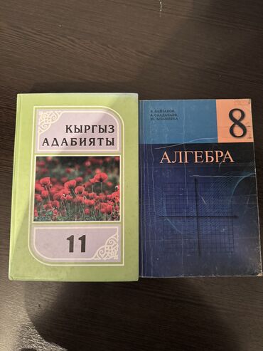 Кыргызский язык и литература: Кыргызская литература, 11 класс, Б/у, Самовывоз, Платная доставка