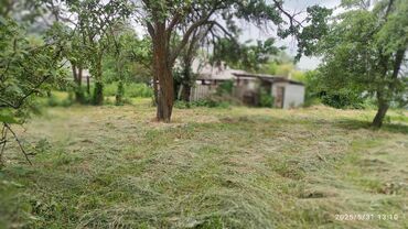 Продажа домов: Дом, 70 м², 4 комнаты, Собственник, Старый ремонт — 4