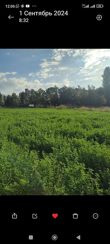 Продажа участков: 13 соток, Для бизнеса — 1