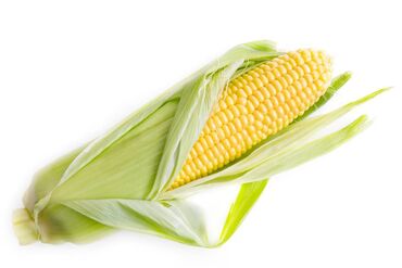 сумолок цена бишкек: Кукуруза Оптом, Самовывоз, Платная доставка