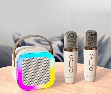 radio mikrofon dlja karaoke: Портативная колонка караоке система с двумя микрофонами Karaoke Sound