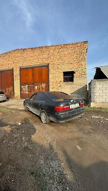 Honda: Honda Accord: 1993 г. — 6