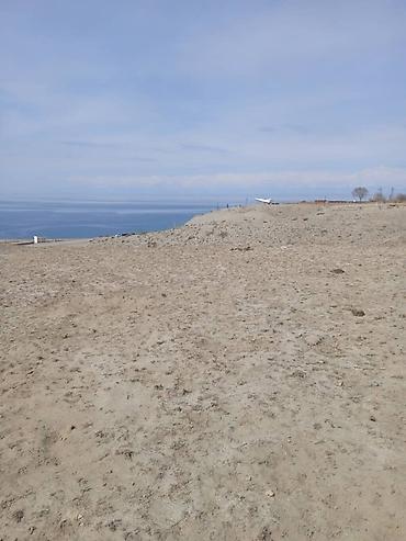 Продажа участков: 787 соток, Для сельского хозяйства, Красная книга, Договор купли-продажи — 11