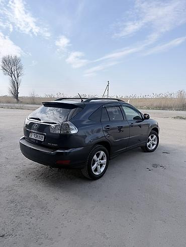 Lexus: Lexus RX: 2004 г., Кроссовер — 5