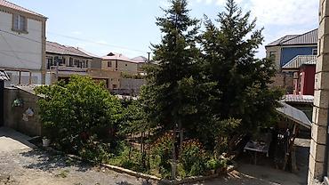 torpaq satiwi: 3 sot, Tikinti, Kupça (Çıxarış), Bələdiyyə — 5