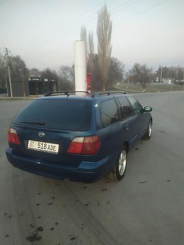 продаю виш: Nissan Primera: 1998 г., 2 л, Механика, Бензин, Универсал — 1