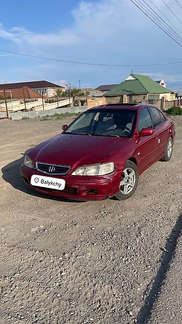 гур аккорд: Honda Accord: 2001 г., 2 л, Механика, Газ, Седан — 1