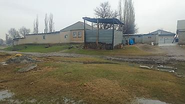 Продажа коттеджей и домов: Продается дом с участком 22 сотко. Адрес село Буденовка улица Пушкин — 3