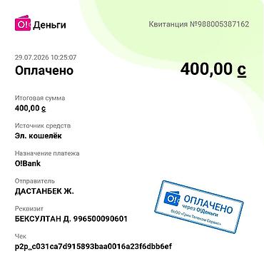 треккинговые ботинки: Услуга: организация и сопровождение горного похода/выезда на природу в — 6