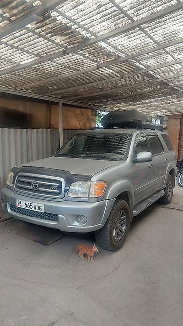 toyota sequoia 2007: Toyota Sequoia: 2004 г., 4.7 л, Автомат, Бензин, Внедорожник — 1