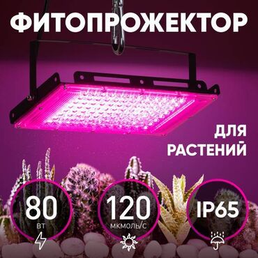 прожектор светодиодный с датчиком движения: Фитопрожектор для растений светодиодный ЭРА FITO-80W-RB-LED-Y