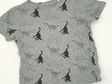 koszulka z psami: Koszulka, Fox&Bunny, 7 lat, 116-122 cm, stan - Bardzo dobry