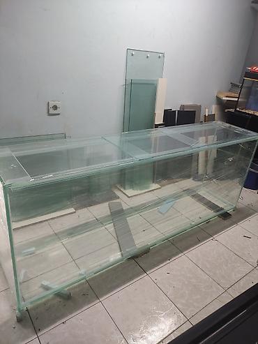 Rəf vitrinləri: Uz 150 en 50 H 60 Yenidir.10 mmrodajlı şùşədən hazırlanıb.Mağazadır — 5