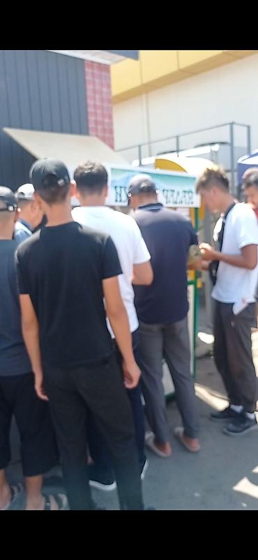 поилки крс: Ассалам алейкум!Бир айда өзүн же ашыгы менен актай турган ушул — 5