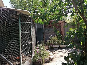 Продажа коттеджей и домов: Продаётся жилой дом — удобно, функционально, живописно! — 5