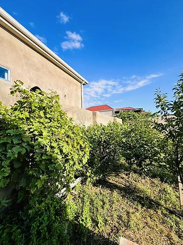 Həyət evləri və villaların satışı: 3 otaqlı, 100 kv. m, Kredit yoxdur, Orta təmir -da lalafo.az — 10 Həyət evləri və villaların satışı: 3 otaqlı, 100 kv. m, Kredit yoxdur, Orta təmir — 10
