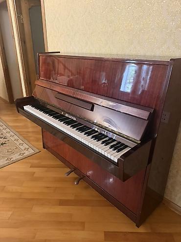 İdman və hobbi: Upright pianino – “Belarus” markası - Korpus: parlaq cilalı tünd — 5