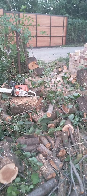 Спил деревьев, заготовка дров: Бак кыйабыз отун аралайбыз. ар кандай кыйынчылыктагы 24/7 чалып — 5