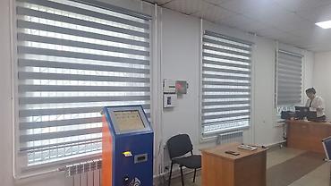 Жалюзи и рольшторы: Рулонные шторы «День-Ночь» (зебра) - Полотно: чередование прозрачных — 2