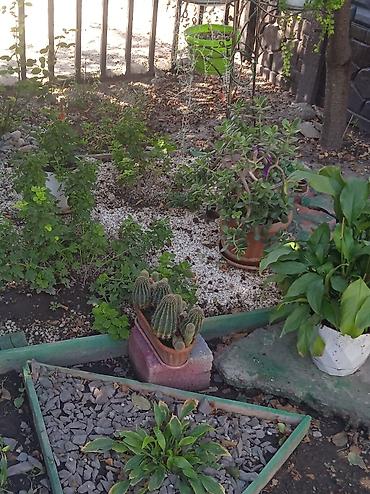 Другой декор и предметы интерьера: ВОДОПАДЫ .ВОДОЕМЫ. РОДНИКИ. ФОНТАНЫ at lalafo.kg — 9 Другой декор и предметы интерьера: ВОДОПАДЫ .ВОДОЕМЫ. РОДНИКИ. ФОНТАНЫ — 9