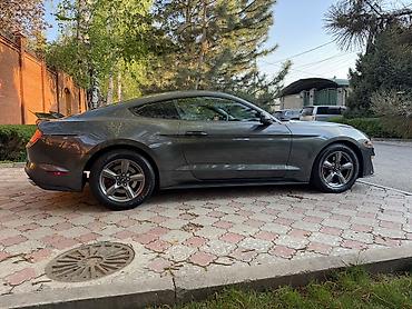 Ford: Ford Mustang: 2018 г., 2.3 л, Автомат, Бензин, Купе — 10