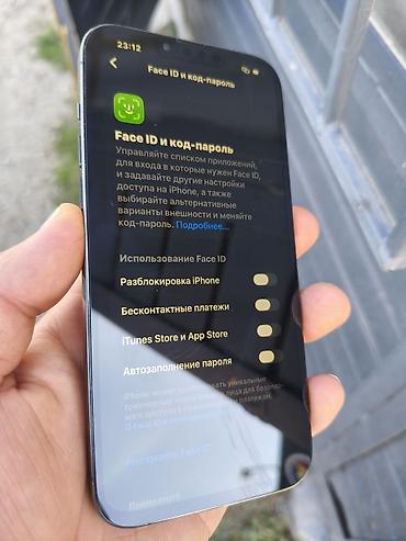 daf 75: IPhone 13 Pro Max, Б/у, 256 ГБ, Графит, Зарядное устройство, Защитное стекло, Чехол, 100 % — 5