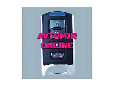 Avtoelektronika: Inwells siqnalizasiya 3881 🚙🚒 ünvana və bölgələrə ödənişli çatdırılma — 1