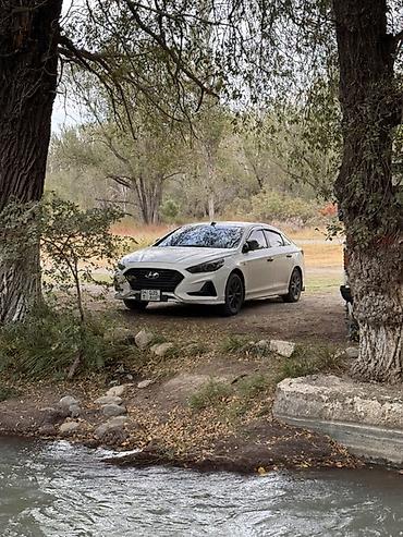 kia к5: Hyundai Sonata: 2017 г., 2 л, Автомат, Бензин, Седан — 2