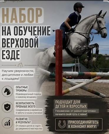 кунаи: Продаю | Жеребец | Конный спорт — 1