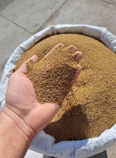 işlenmiş su çeni: Toxumlar