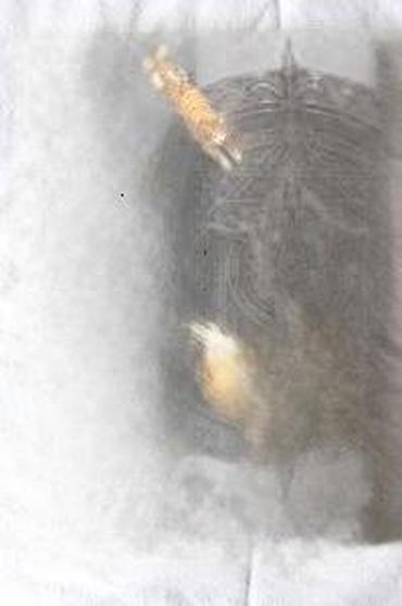 Knjige: MONSTRUMESA 1-2 BUĐENJE, KRV, IZDAVAČ DIBIDUS | Odlično očuvani — 16