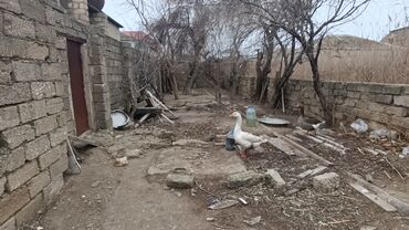 Həyət evləri və villaların satışı: Suraxanı 5 otaqlı, 240 kv. m, Kredit yoxdur, Orta təmir
