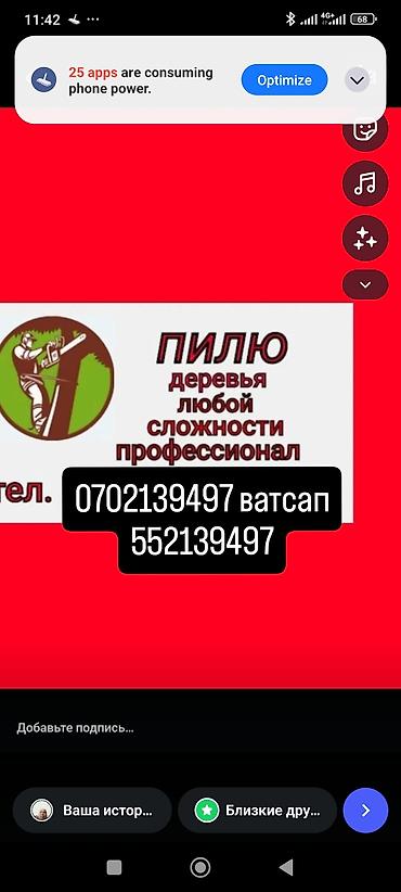 Услуги профессиональной распиловки и спила деревьев любой сложности