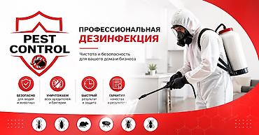 комар: Дезинфекция, дезинсекция, | Клопы, Блохи, Тараканы, | Транспорт, Офисы, Квартиры — 1