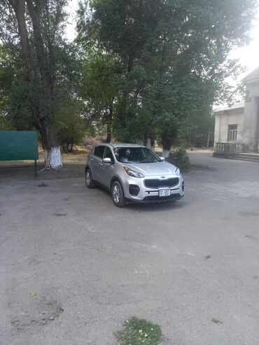 передний бампер опель вектра б: Серебристый кроссовер Kia Sportage, подходящий для городских поездок и