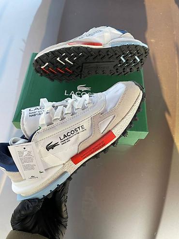 tri cetvrt helanke: Lacoste patike NOVO Novo Brojevi 41 do 46 fb Moja Kupovina 1 — 1