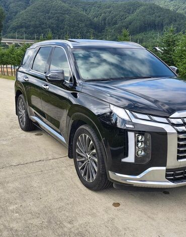 Hyundai: Hyundai Palisade: 2023 г., 2.2 л, Автомат, Дизель, Кроссовер — 3