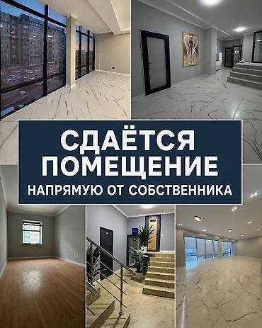 прямая аренда офиса: Сдаю Офисный кабинет: 66 м², В бизнес центре, С ремонтом, Первая линия — 1