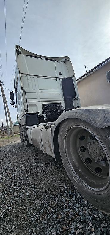 Тягачи: Тягач, DAF, 2019 г., Без прицепа — 4